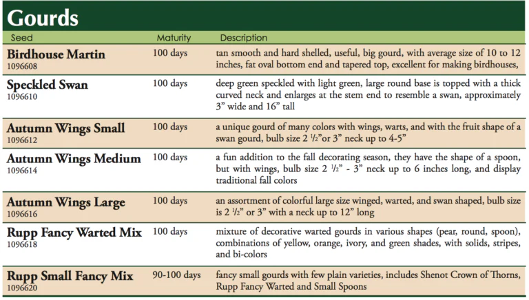 Rupp Fancy Warted Mix Gourd Seed - Image 2