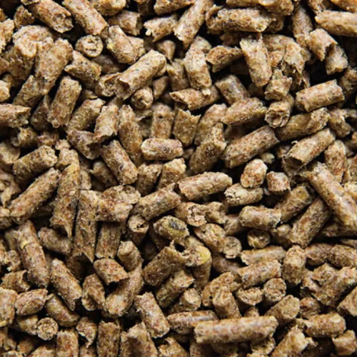 BUCKEYE™ Nutrition SAFE ‘N EASY™ Performance Horse Feed - Image 3