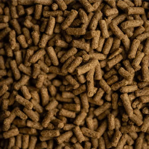 BUCKEYE™ Nutrition SAFE ‘N EASY™ Senior Horse Feed - Image 3
