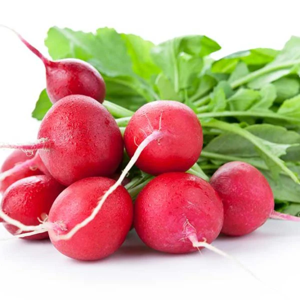 Sparkler Radish Vegetable Seed
