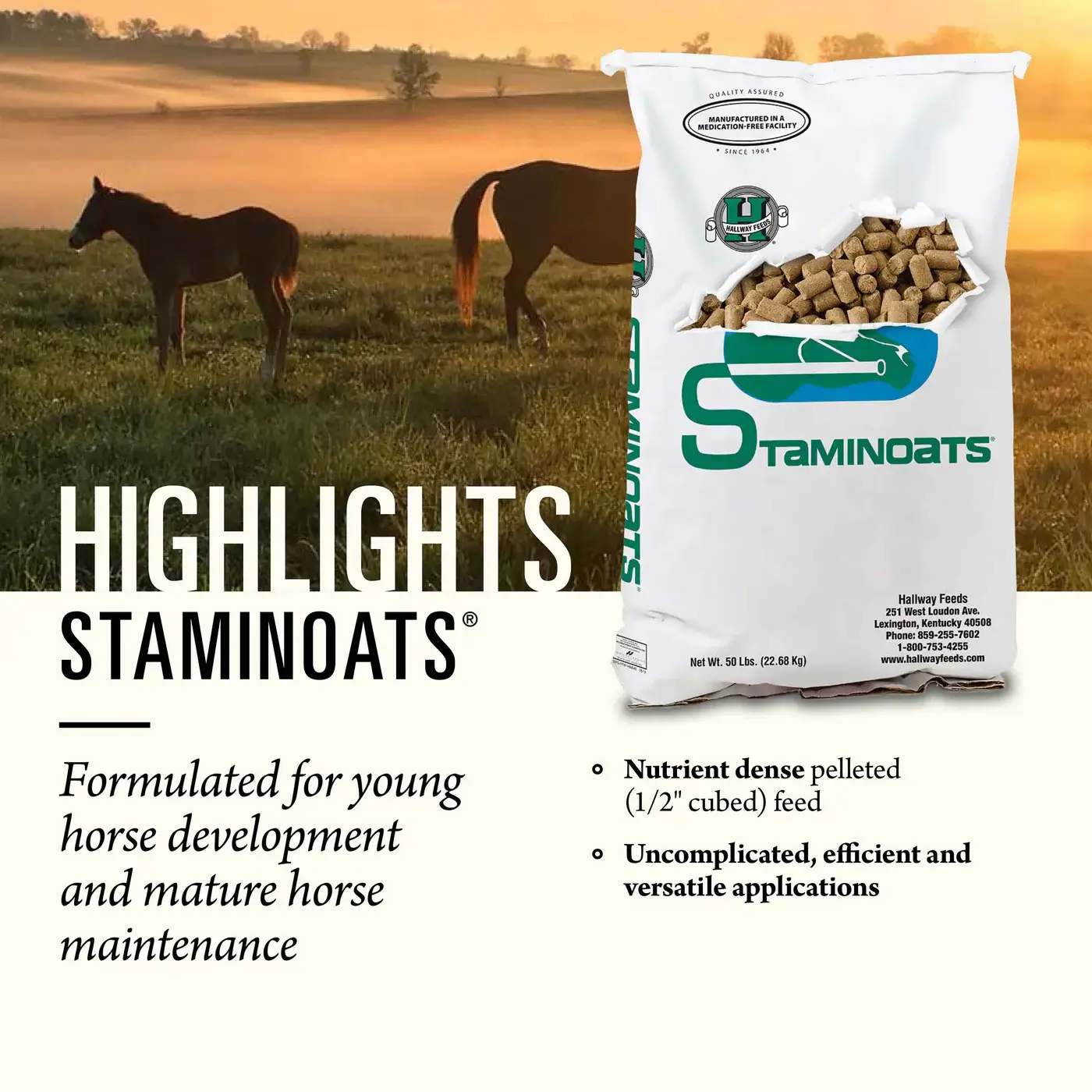 Hallway Staminoats Horse Feed - Image 2