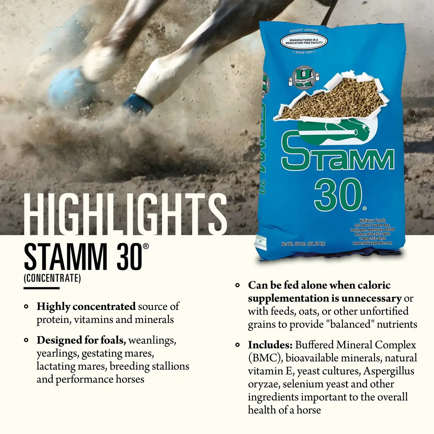 Hallway Feeds Stamm 30 Horse Feed - Image 2