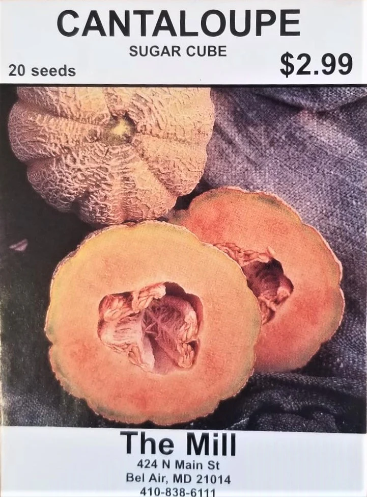 Sugar Cube Cantaloupe Seed - Image 2