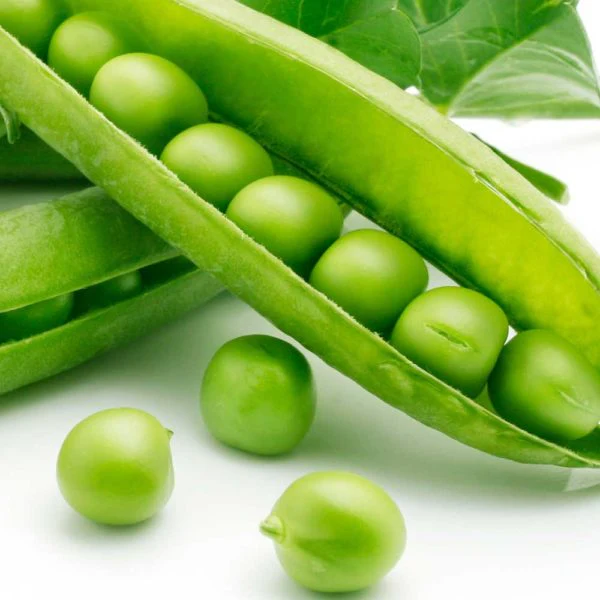 Sugar Sprint Pea Vegetable Seed