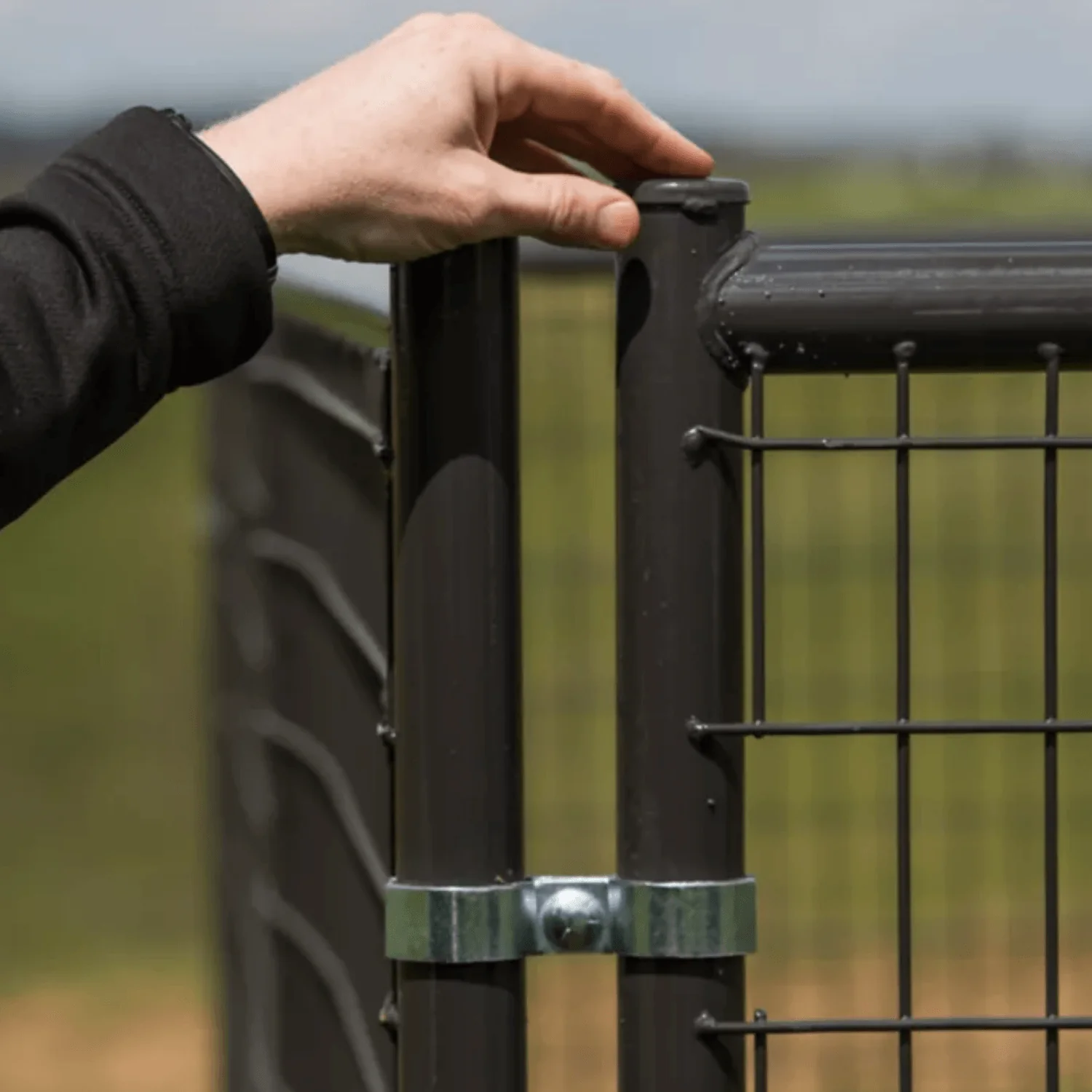 Tarter® Heavy-Duty Welded Wire Dog Kennel – 10' x 10' x 6' - Image 3