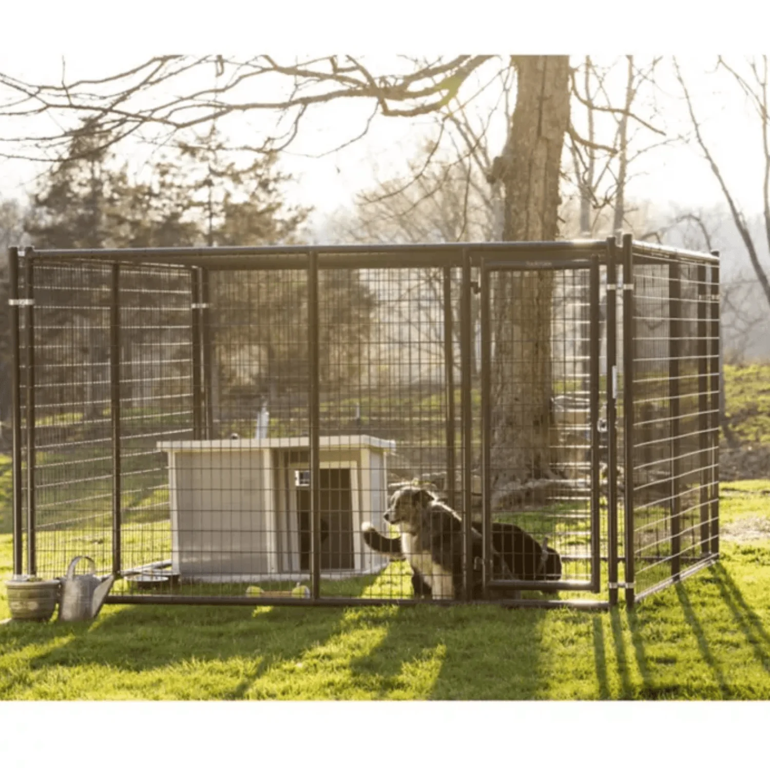 Tarter® Heavy-Duty Welded Wire Dog Kennel – 10' x 10' x 6' - Image 4