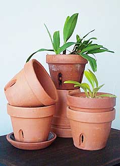 Terra Cotta Pottery - Image 4