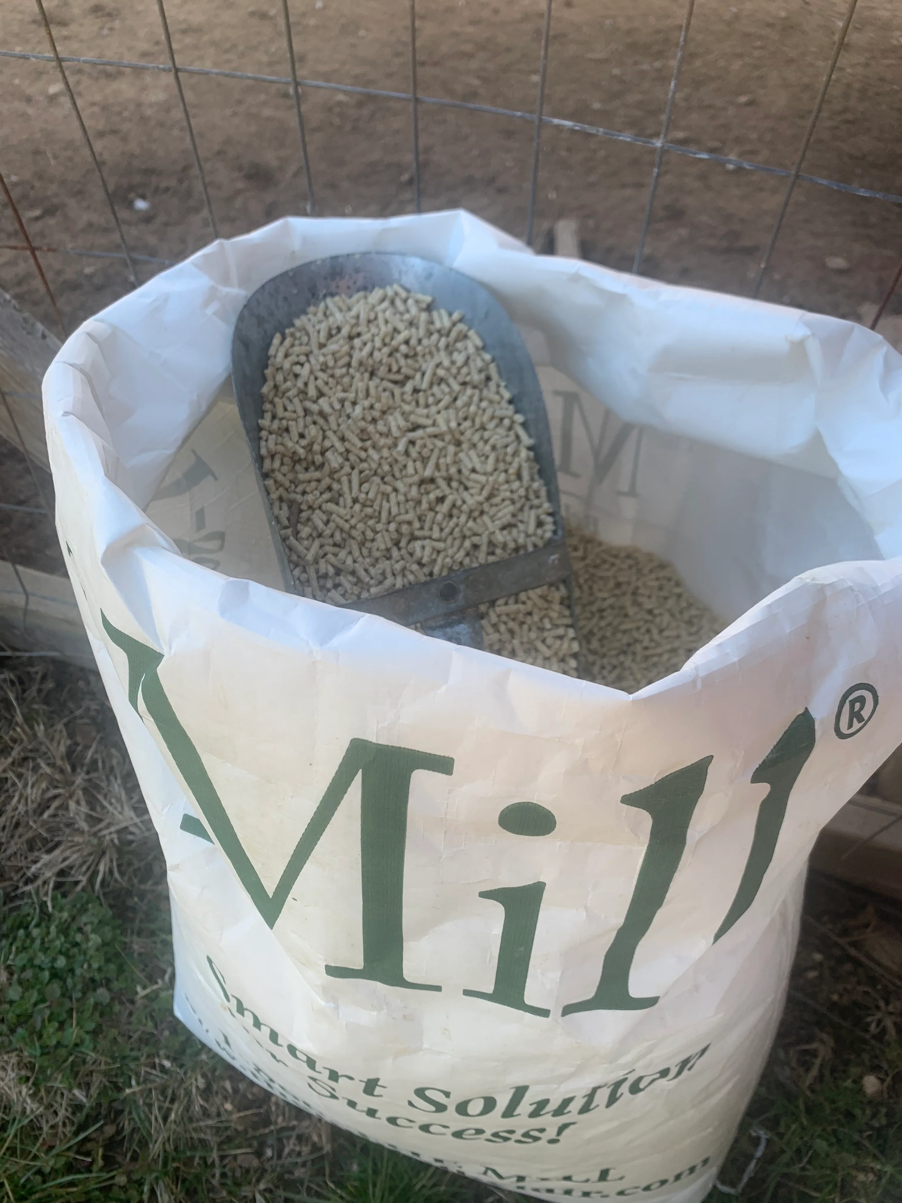 The Mill Layer Pellet Chicken Feed, 50 lb - Image 6