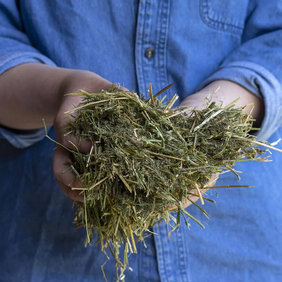 Triple Crown Premium Alfalfa Forage Horse Feed - Image 2