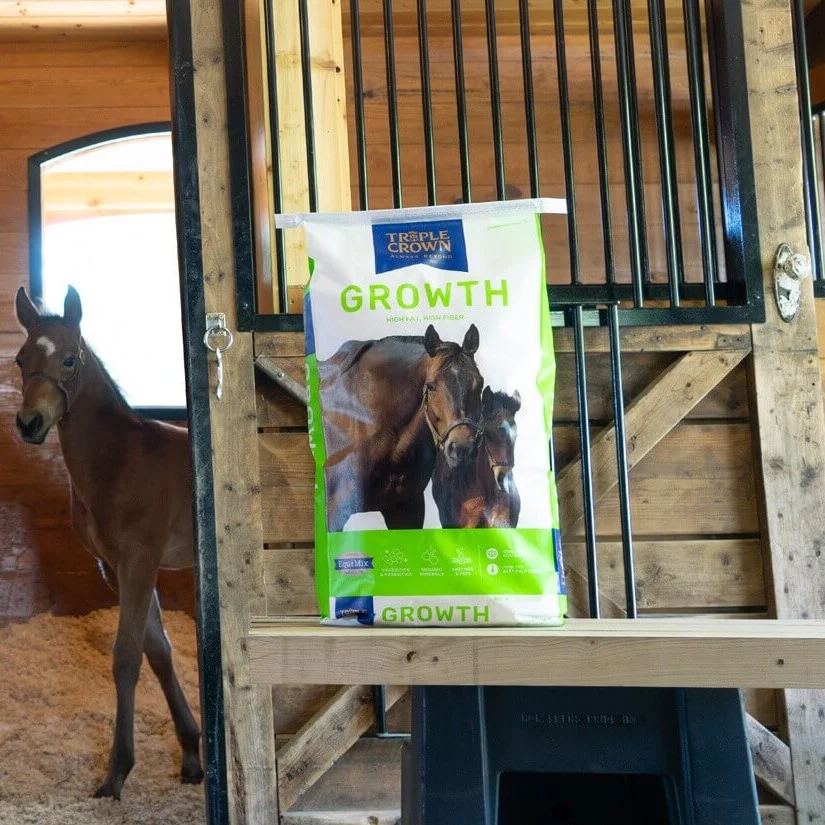 Triple Crown Growth Horse Feed - Image 3