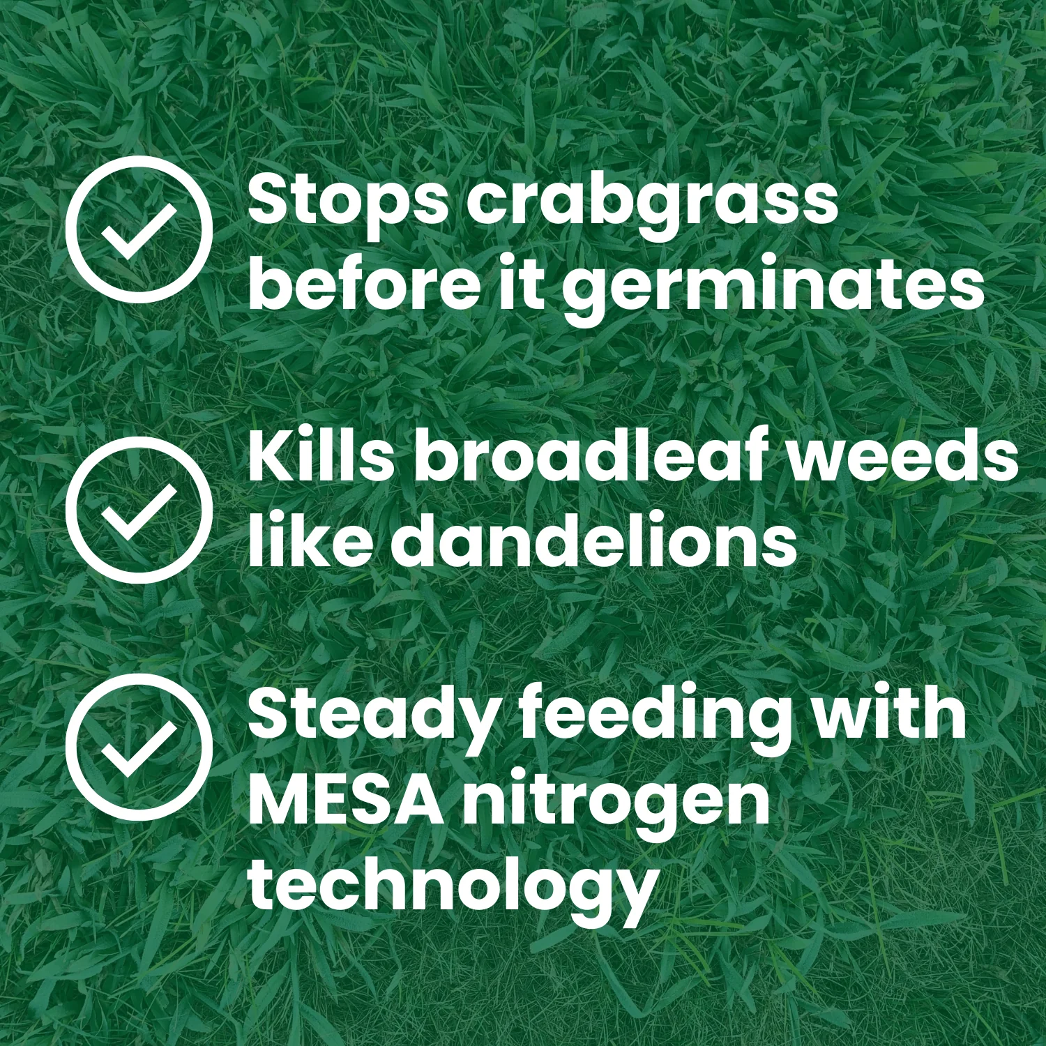 Step 2 | Turf Fertilizer 19-0-6 40lb. MESA with LockUp and .17 Dimension - Image 6