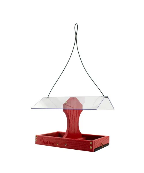 Two-Sided Cardinal Platform Bird Feeder