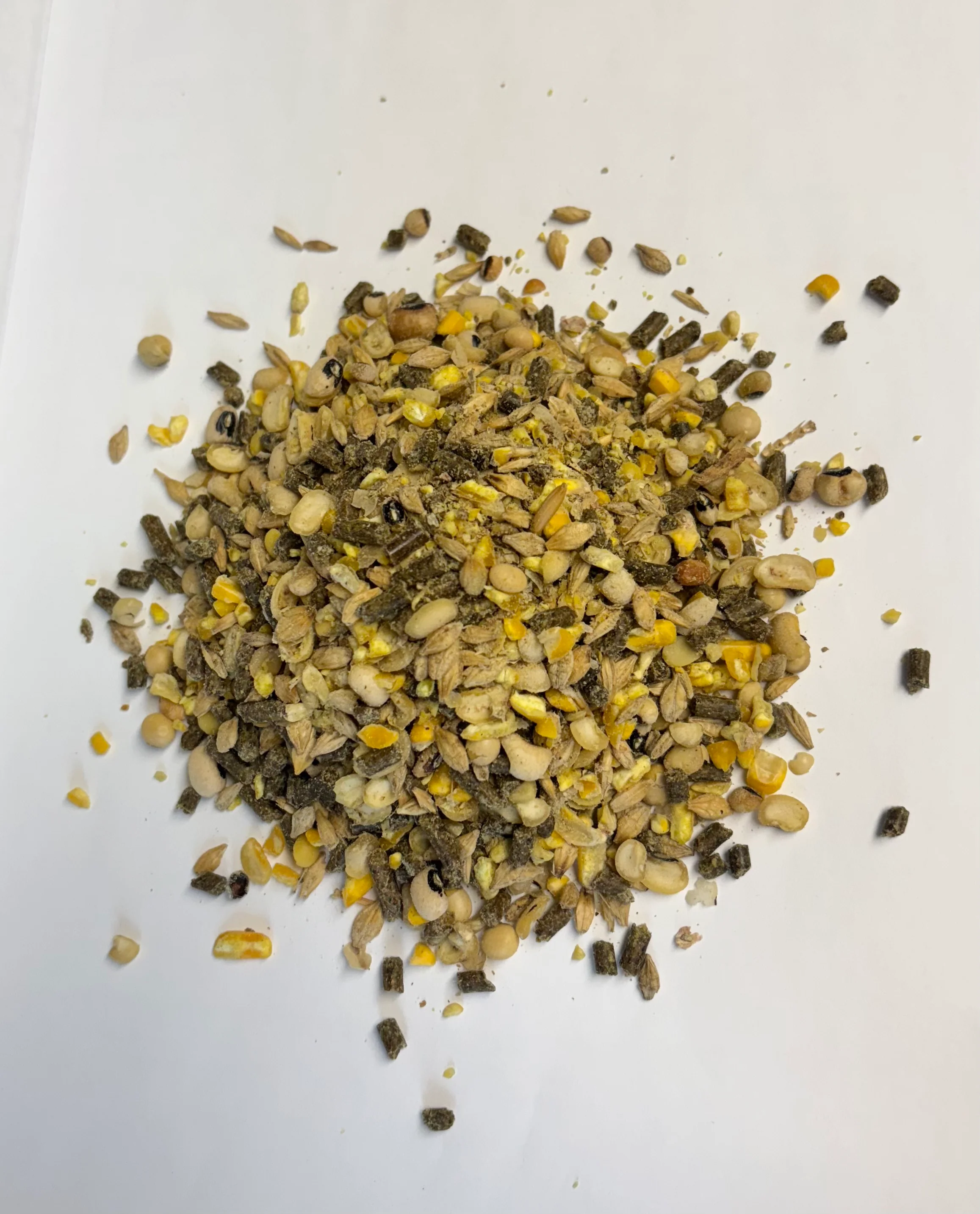 Umbarger Show Feeds Bulletproof Show Sheep and Goat Supplement, 30 lb - Image 3