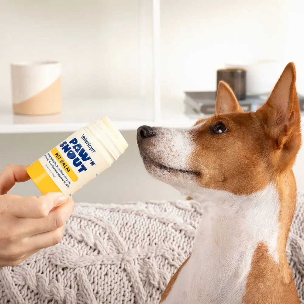 Vetericyn® Paw ‘n Snout® Pet Balm - Image 5