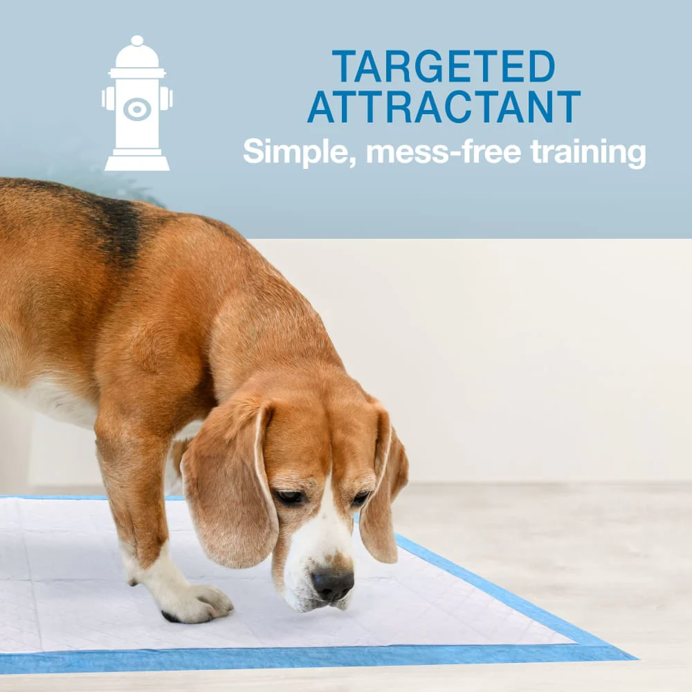 Wee-Wee® Superior Performance X-Large Dog Pee Pads – 28 in x 34 in, Leak-Proof Training Pads - Image 2