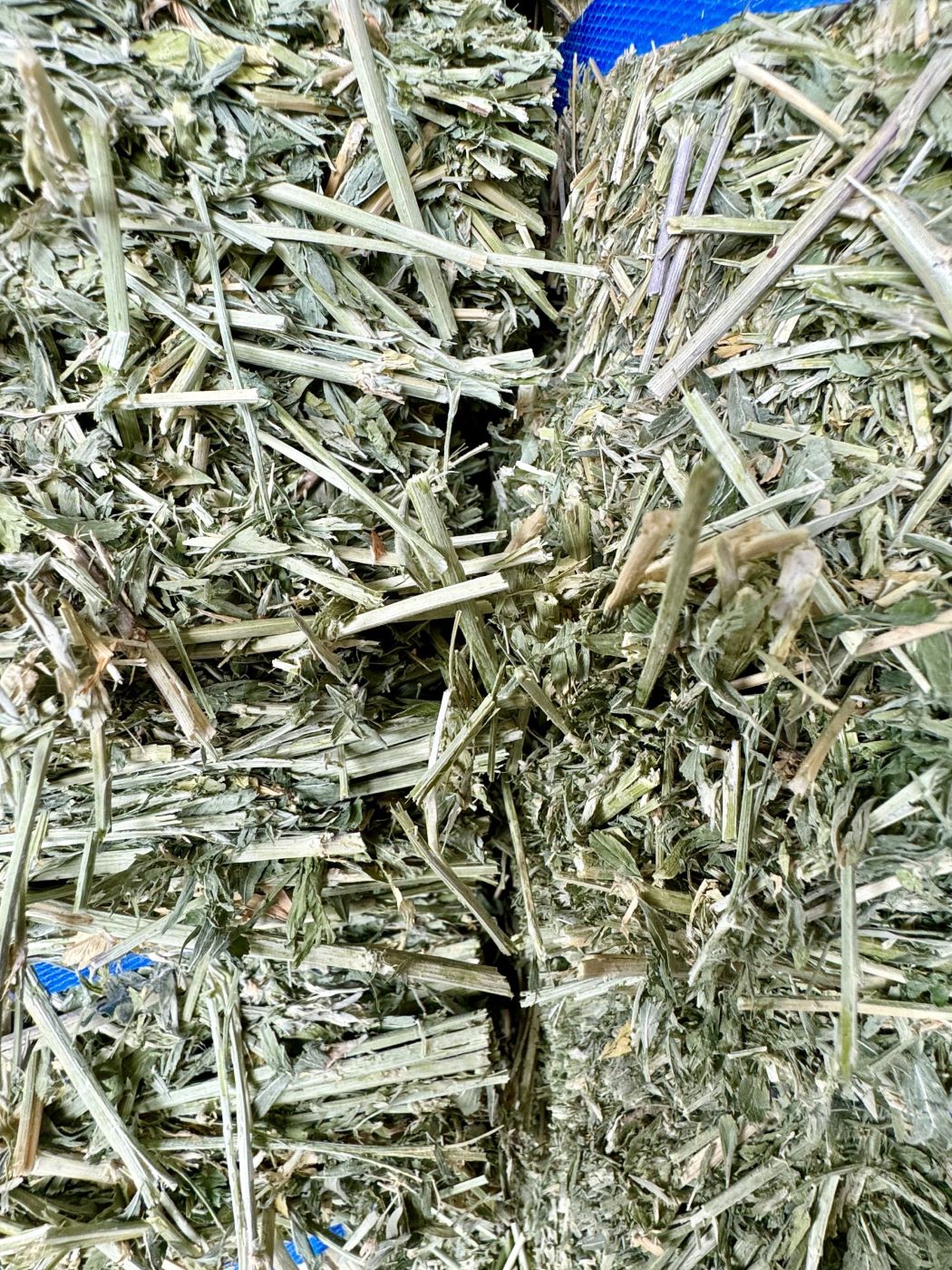 Western Hicks Alfalfa Hay Bale