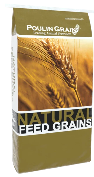 Poulin Grain Whole Oats