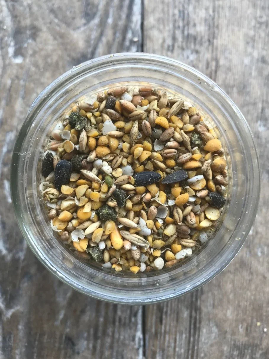 Wholesome Harvest Non-GMO Soy-Free-Corn Free Whole Grain Layer Feed, 40 lb - Image 2