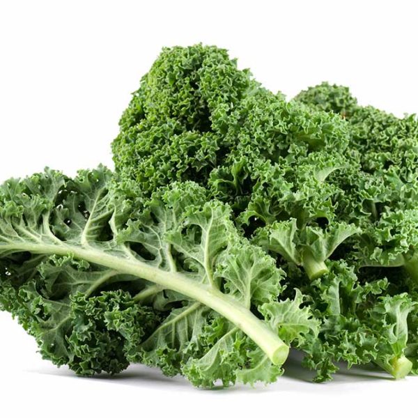 Winterbor Hybrid Kale Vegetable Seed