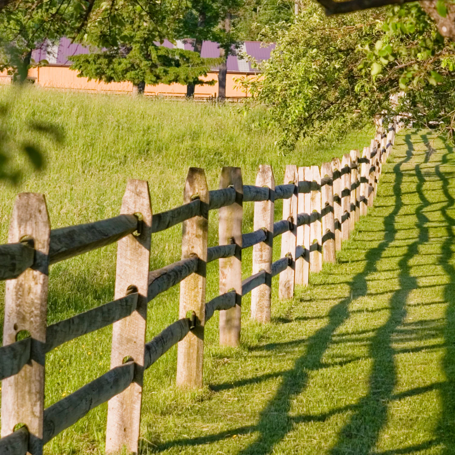 7 ft. Pressure Treated Wood Split Rail 3-Hole Line Post - Image 2
